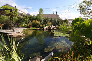 Ensemble de jardin baignade de 14 pieds par 34 avec profondeur variable de 2 à 6 pieds