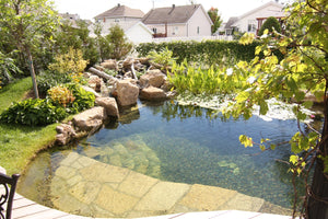 Ensemble de jardin baignade de 12 pieds par 37 avec profondeur variable de 2 à 4 pieds